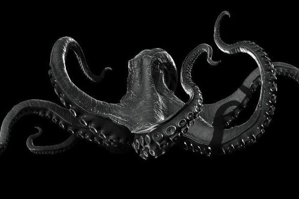 Kraken ltd