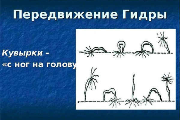 Что за приложение кракен